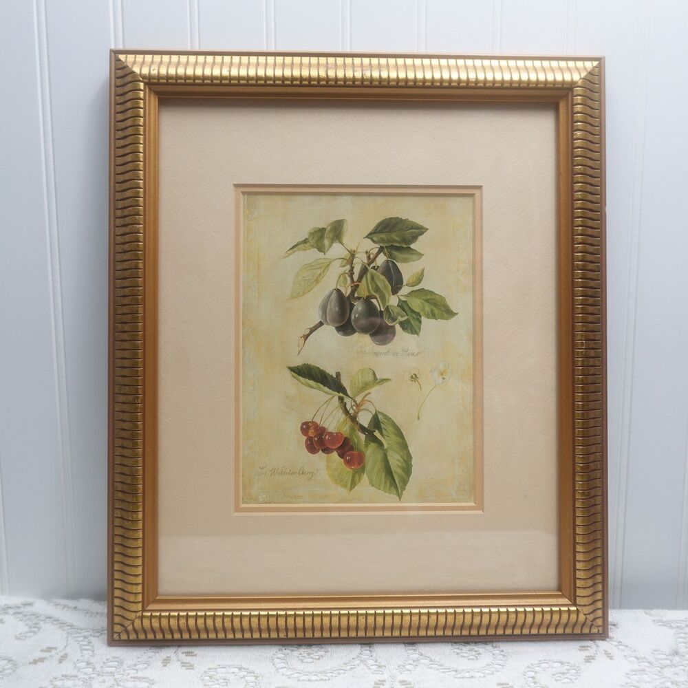 Fabrice de Villeneuve Imperatrice Plum & Waterloo Cherry Matted in Gold Frame
